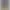 iPhone 11 64 Gb